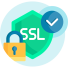 SSL Sertifikası (HTTPS)